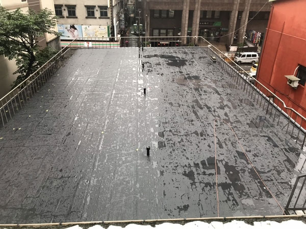 Roof Waterproofing